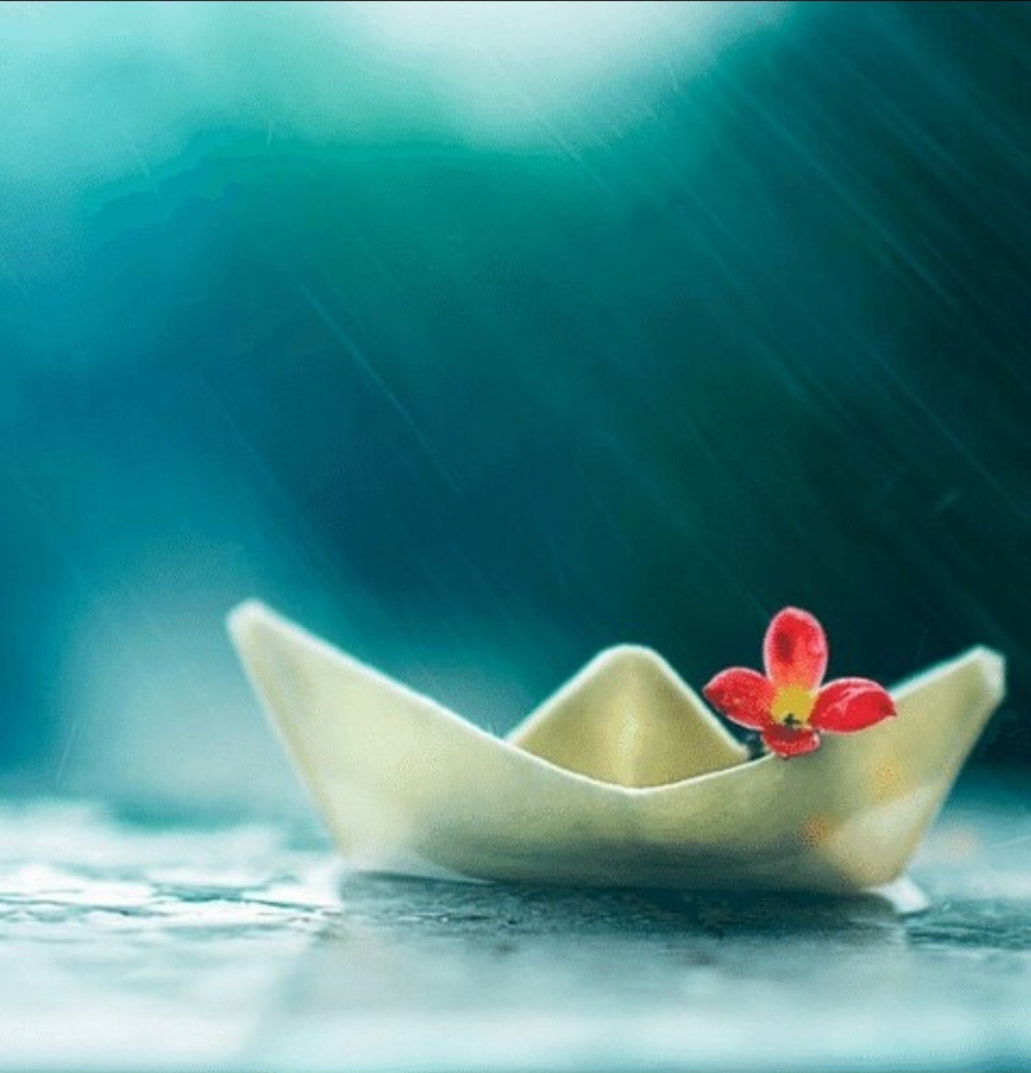 A paper boat carrying a flower through the rain